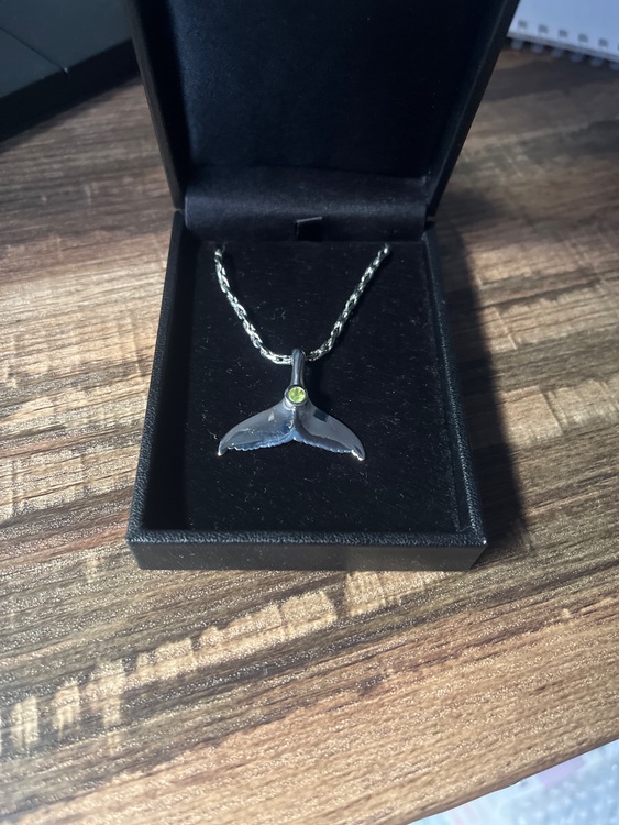 ネックレス（金・貴金属）の商品画像 - 査定依頼日：2025年7月13日 - 最高査定価格：5,000円