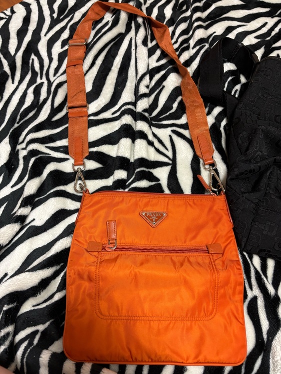 プラダ  （ブランドバッグ）の商品画像 - 査定依頼日：2025年9月8日 - 最高査定価格：35,000円