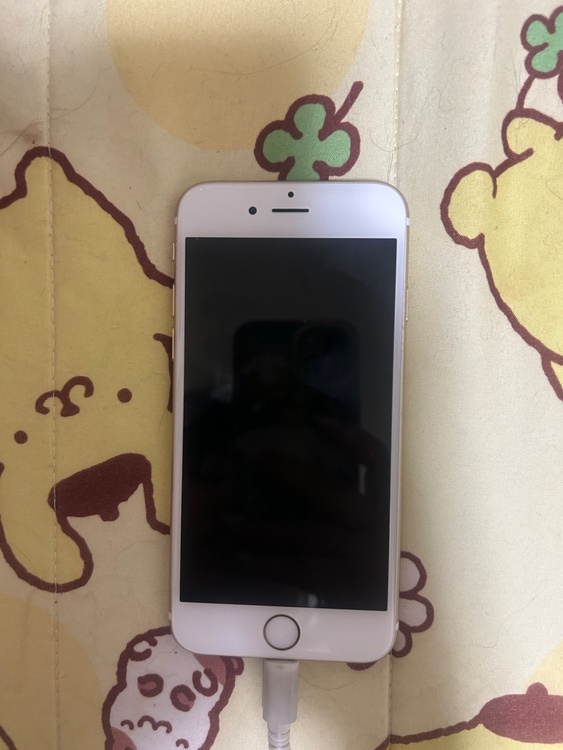 iPhone6s 16GB Softbank（スマホ）の商品画像 - 査定依頼日：2026年5月11日 - 最高査定価格：100,000円