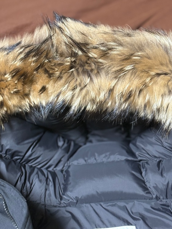 ピレネックス　アヌシー（古着・ファッション）の商品画像 - 査定依頼日：2025年11月16日 - 最高査定価格：23,500円