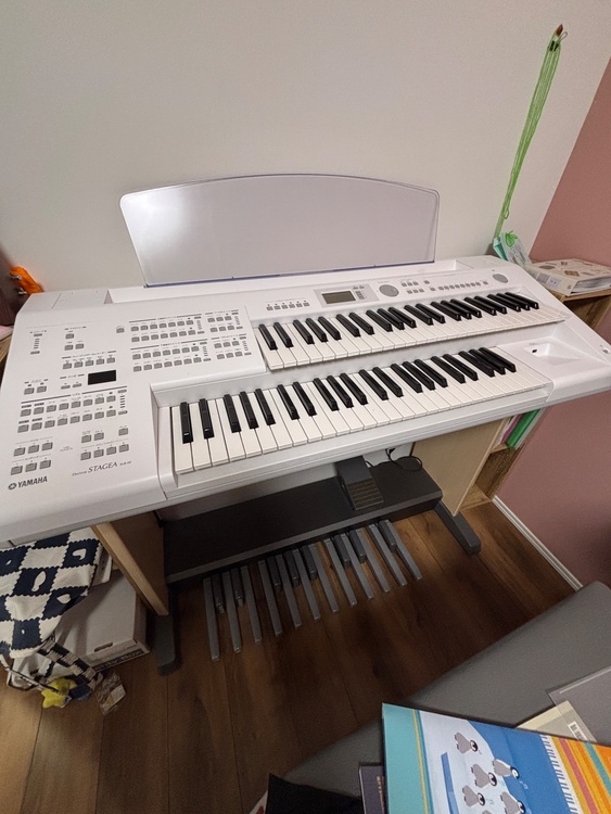 ELB-02（ピアノ・楽器・PA機材）の商品画像 - 査定依頼日：2026年4月21日 - 最高査定価格：100,000円