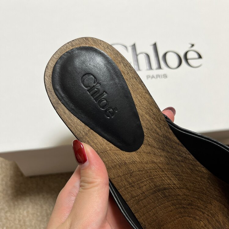 その他 クロエ （ブランドバッグ）の商品画像 - 査定依頼日：2025年3月13日 - 最高査定価格：22,000円