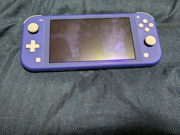 Nintendo Switch light（ゲーム機本体・ゲームソフト）の商品画像 - 査定依頼日：2025年6月14日 - 最高査定価格：7,000円