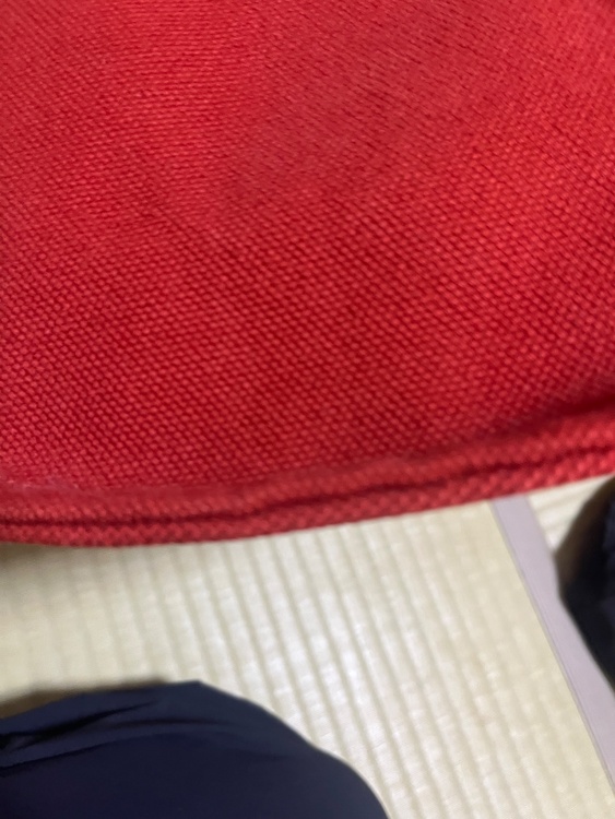 カンヌ（ブランドバッグ）の商品画像 - 査定依頼日：2026年9月27日 - 最高査定価格：20,000円