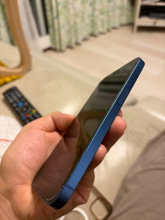 Iphone13 512 SIMフリー（スマホ）の商品画像 - 査定依頼日：2026年10月24日 - 最高査定価格：41,000円