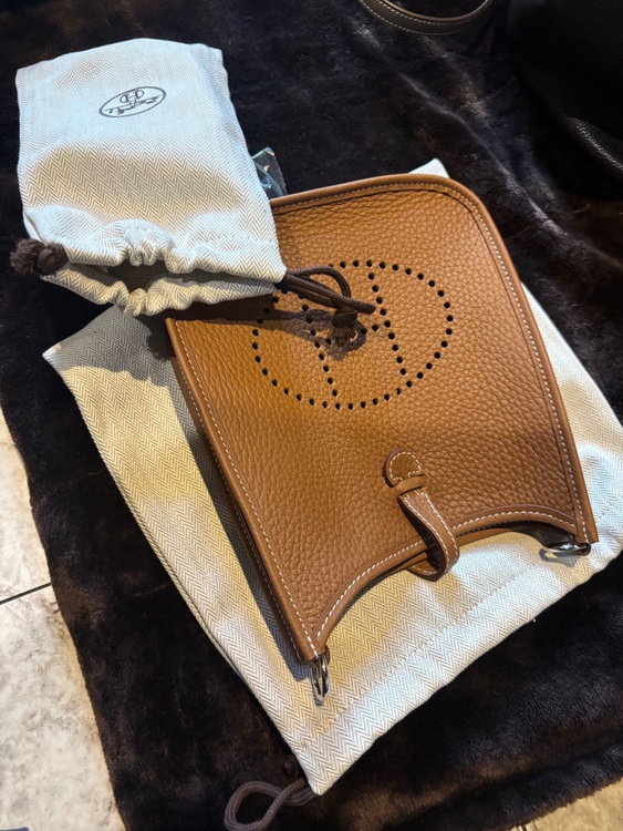 エヴリン tpm ゴールド（ブランドバッグ）の商品画像 - 査定依頼日：2026年3月15日 - 最高査定価格：330,000円