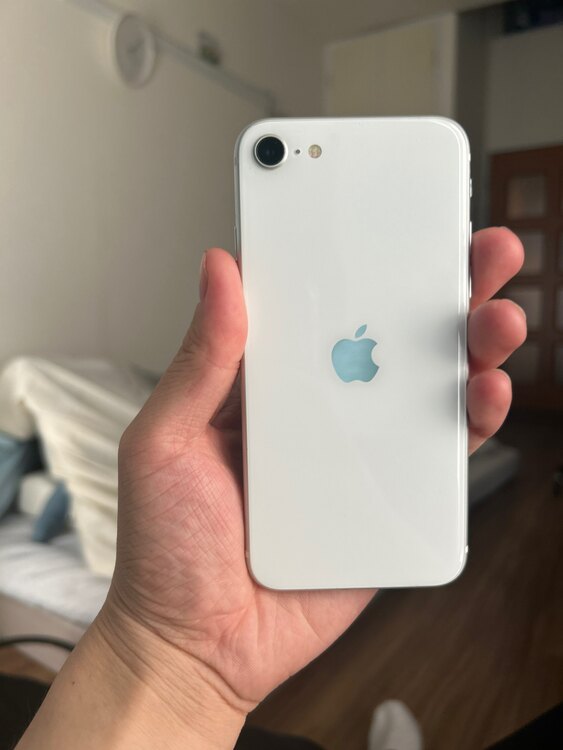 iPhoneSE 2（スマホ）の商品画像 - 査定依頼日：2025年5月14日 - 最高査定価格：8,000円