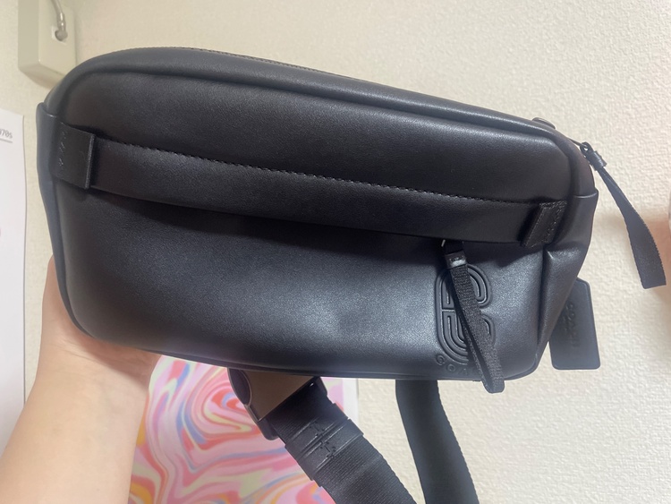 その他 コーチ （ブランドバッグ）の商品画像 - 査定依頼日：2026年3月5日 - 最高査定価格：3,000円