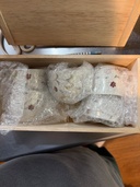 たちきち（美術品・骨董品）の商品画像 - 査定依頼日：2026年3月5日 - 最高査定価格：100,000円