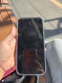 iPhone iPhone 16 Pro 256GB docomo（スマホ）の商品画像 - 査定依頼日：2026年7月31日 - 最高査定価格：101,000円