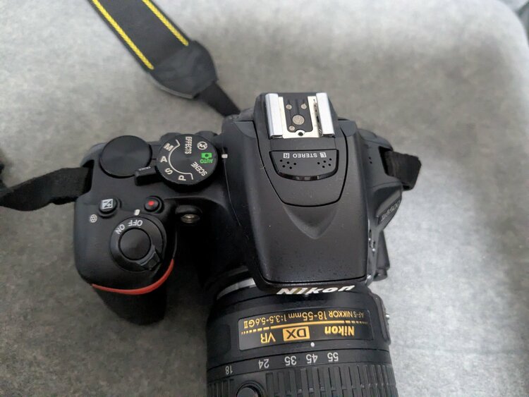 D5500（カメラ）の商品画像 - 査定依頼日：2026年1月28日 - 最高査定価格：100,000円