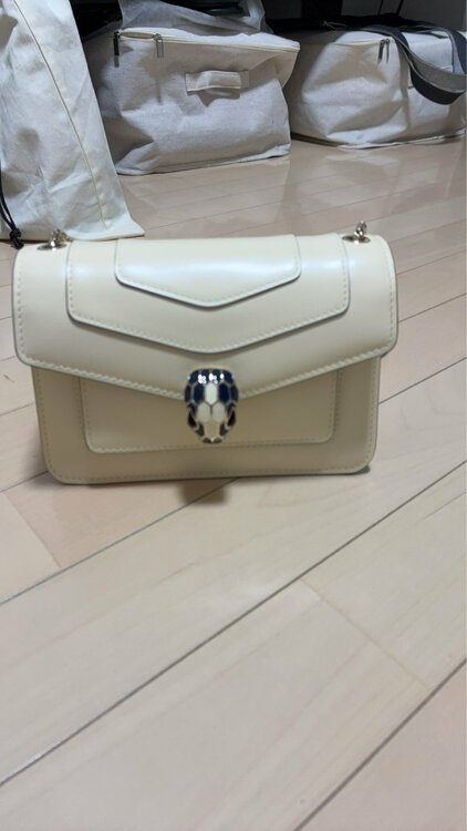 セルペンティ（ブランドバッグ）の商品画像 - 査定依頼日：2026年4月9日 - 最高査定価格：70,000円