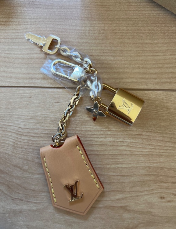 M12939 ルーピング　（ブランドバッグ）の商品画像 - 査定依頼日：2025年8月10日 - 最高査定価格：310,000円