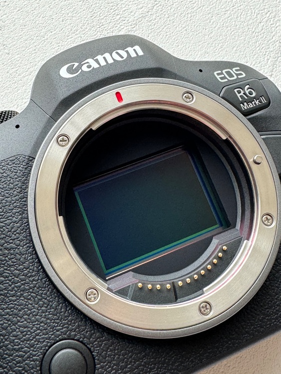 eos r6 mark II（カメラ）の商品画像 - 査定依頼日：2025年9月30日 - 最高査定価格：210,000円