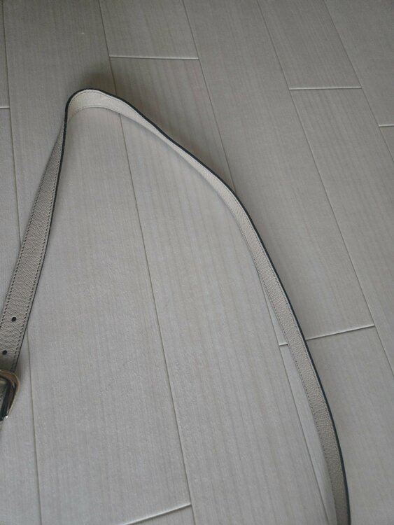 キャンパス地GGマーク（ブランドバッグ）の商品画像 - 査定依頼日：2026年2月7日 - 最高査定価格：100,000円