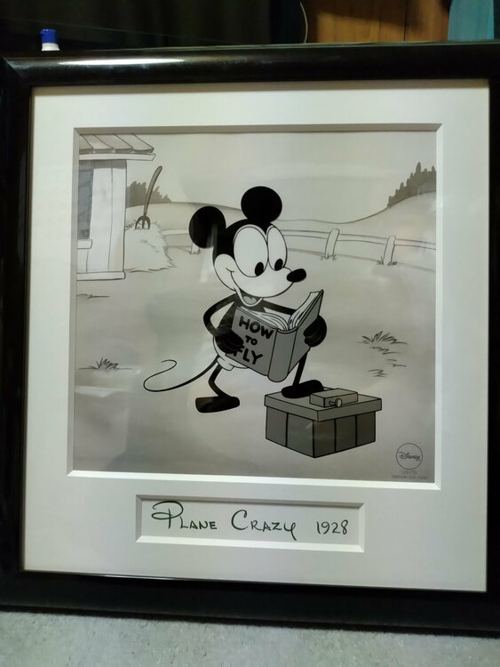 セル画　額入りディズニーミッキーマウス　PLANE CRAZY1928（美術品・骨董品）の商品画像 - 査定依頼日：2026年7月26日 - 最高査定価格：26,000円