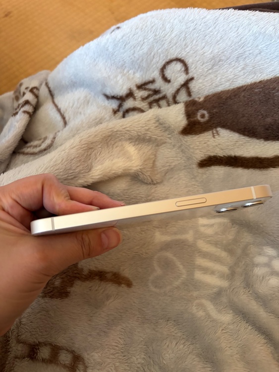 iPhone iPhone 13 128GB Softbank（スマホ）の商品画像 - 査定依頼日：2026年6月19日 - 最高査定価格：32,500円