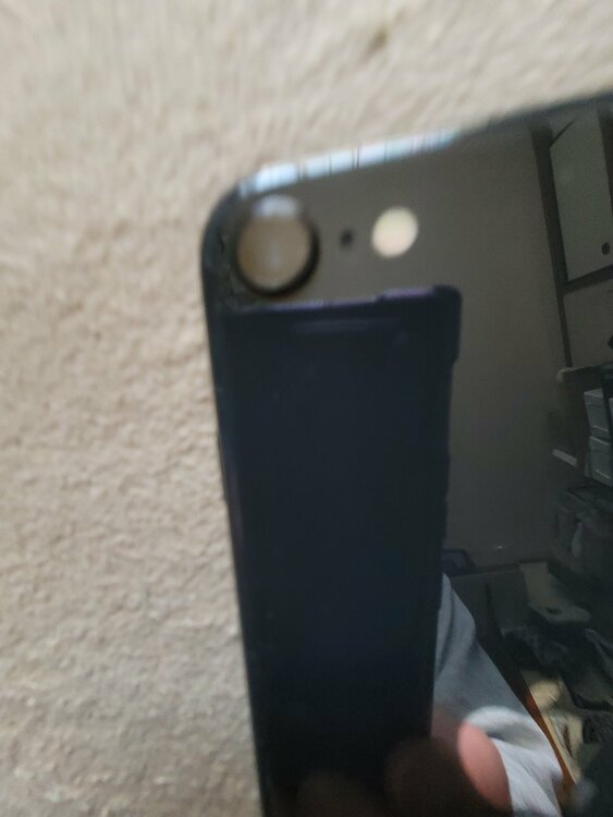 iPhone SE (第 2 世代) 64GB SIMフリー（スマホ）の商品画像 - 査定依頼日：2026年4月8日 - 最高査定価格：13,000円