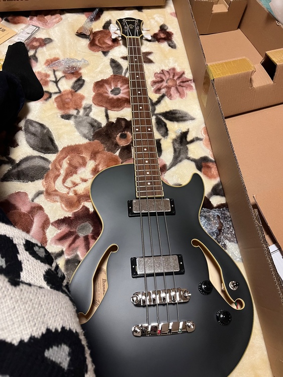 Ibanez AGB200-BKF（ピアノ・楽器・PA機材）の商品画像 - 査定依頼日：2026年4月5日 - 最高査定価格：21,000円