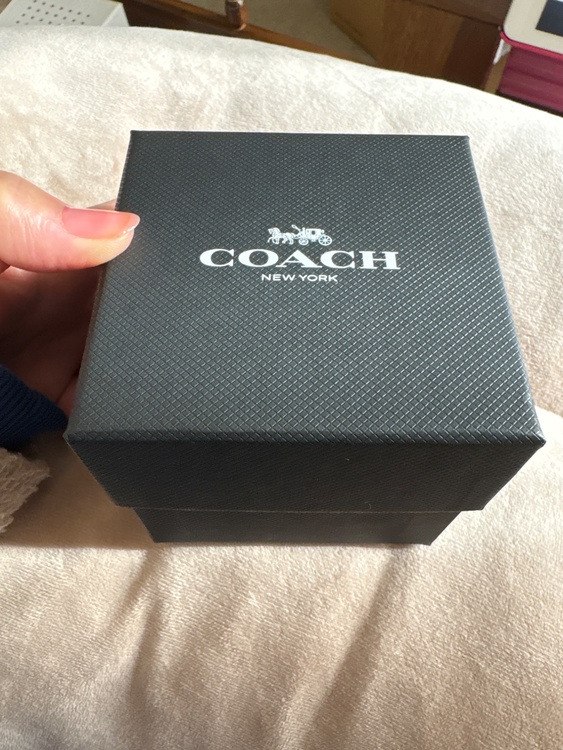 COACH（高級時計）の商品画像 - 査定依頼日：2026年3月2日 - 最高査定価格：3,000円