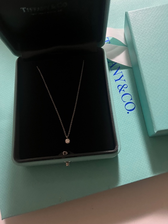 Tiffany（宝石）の商品画像 - 査定依頼日：2026年3月26日 - 最高査定価格：100,000円