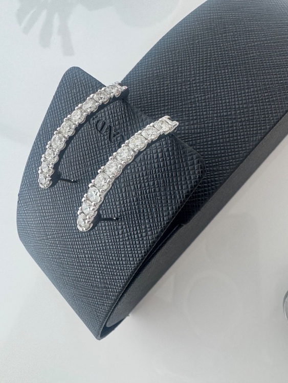 イヤリング（宝石）の商品画像 - 査定依頼日：2025年7月26日 - 最高査定価格：100,000円