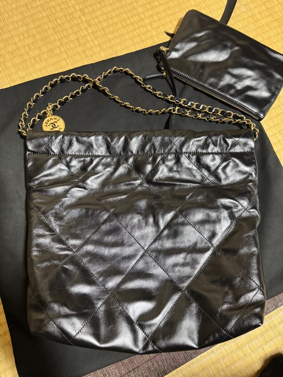 シャネル シャネル(その他) （ブランドバッグ）の商品画像 - 査定依頼日：2026年5月7日 - 最高査定価格：600,000円