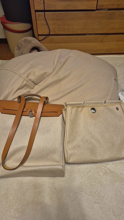 エルメス エルメス(その他) （ブランドバッグ）の商品画像 - 査定依頼日：2026年1月14日 - 最高査定価格：160,000円