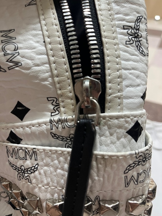 リュック（ブランドバッグ）の商品画像 - 査定依頼日：2026年4月5日 - 最高査定価格：15,000円