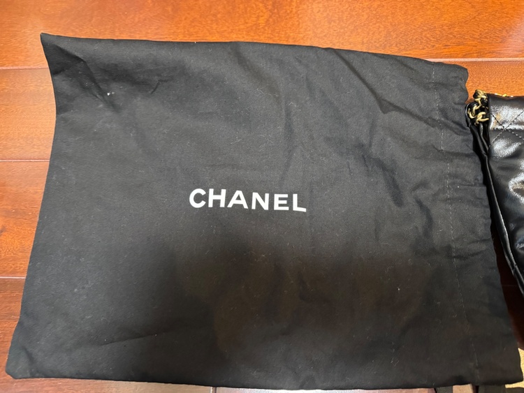 22 ミニ（ブランドバッグ）の商品画像 - 査定依頼日：2026年2月9日 - 最高査定価格：520,000円