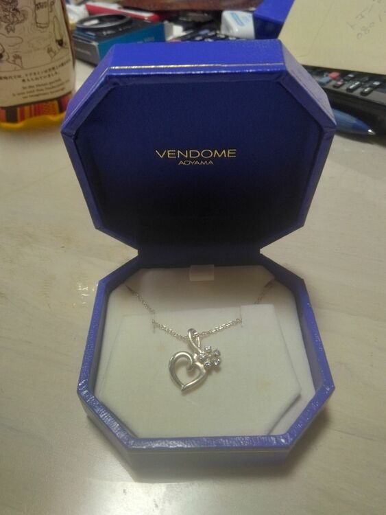 SVN863540C2（金・貴金属）の商品画像 - 査定依頼日：2025年9月24日 - 最高査定価格：1,000円