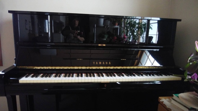 U－Ｘ1（ピアノ・楽器・PA機材）の商品画像 - 査定依頼日：2026年3月4日 - 最高査定価格：90,000円