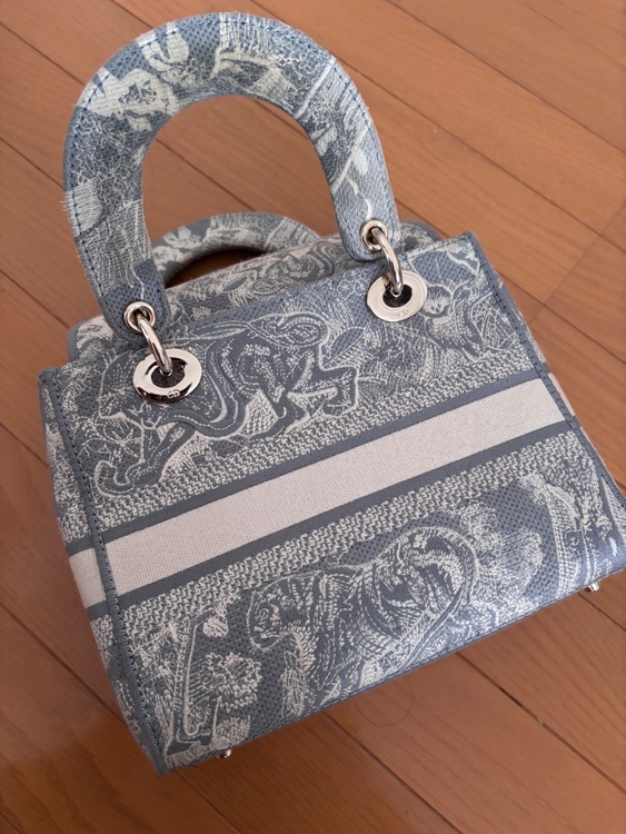 ディオール  （ブランドバッグ）の商品画像 - 査定依頼日：2026年3月9日 - 最高査定価格：230,000円