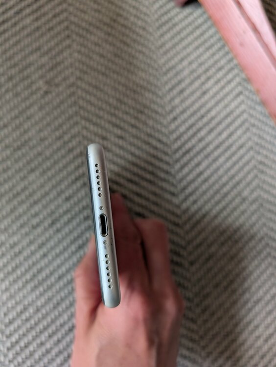 iPhone SE (第 2 世代) 256GB SIMフリー（スマホ）の商品画像 - 査定依頼日：2026年2月23日 - 最高査定価格：18,000円