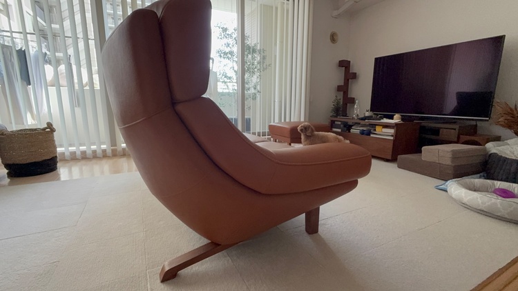 ZU4603ZEK（家具・寝具）の商品画像 - 査定依頼日：2026年7月28日 - 最高査定価格：40,000円