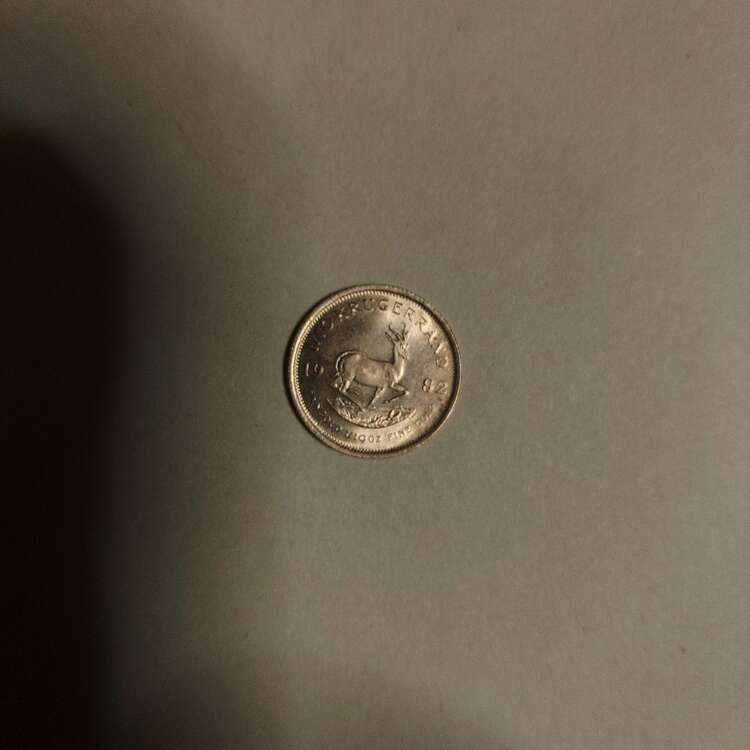 クルーガーランド金貨　1/10（金・貴金属）の商品画像 - 査定依頼日：2024年2月6日 - 最高査定価格：33,000円