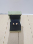 ヴァンクリーフアーペル　ピアス（金・貴金属）の商品画像 - 査定依頼日：2021年6月28日