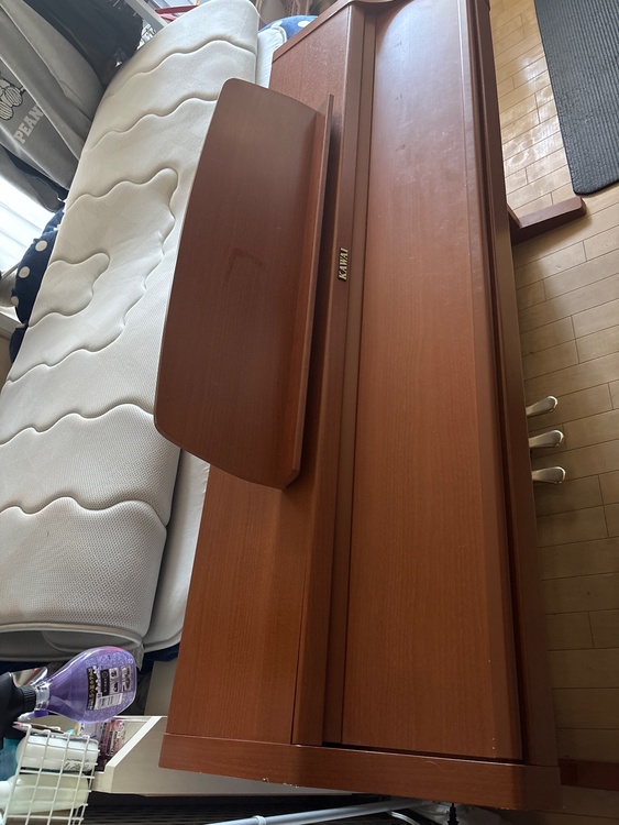 MUSICAL INSTRUMENT   PN 290Ｃ　9474278（ピアノ・楽器・PA機材）の商品画像 - 査定依頼日：2025年12月20日 - 最高査定価格：5,000円