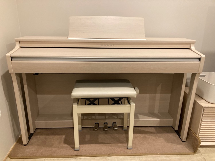 CN29（ピアノ・楽器・PA機材）の商品画像 - 査定依頼日：2025年11月9日 - 最高査定価格：30,000円