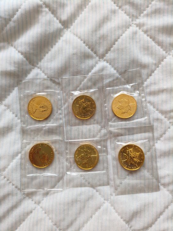 メープルリーフ金貨　1/2oz✕6（金・貴金属）の商品画像 - 査定依頼日：2025年8月9日 - 最高査定価格：1,570,500円