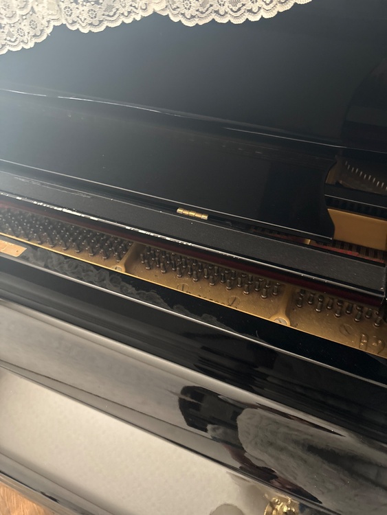 e3650053（ピアノ・楽器・PA機材）の商品画像 - 査定依頼日：2026年3月18日 - 最高査定価格：50,000円