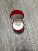 指輪　プラチナ900（宝石）の商品画像 - 査定依頼日：2026年4月14日 - 最高査定価格：100,000円