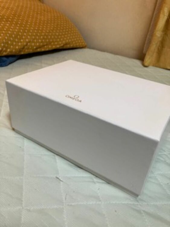 オメガ シーマスター 215 30 40 20 03 00（高級時計）の商品画像 - 査定依頼日：2025年6月5日 - 最高査定価格：620,000円