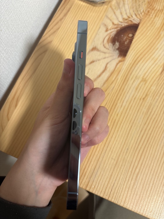 iPhone iPhone 13 Pro 128GB docomo（スマホ）の商品画像 - 査定依頼日：2026年5月30日 - 最高査定価格：46,000円