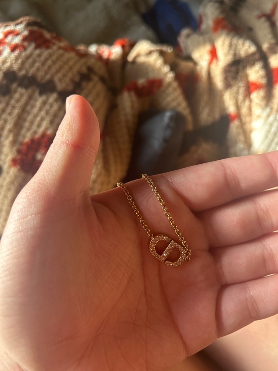 ディオール  （ブランドバッグ）の商品画像 - 査定依頼日：2026年1月28日 - 最高査定価格：30,000円