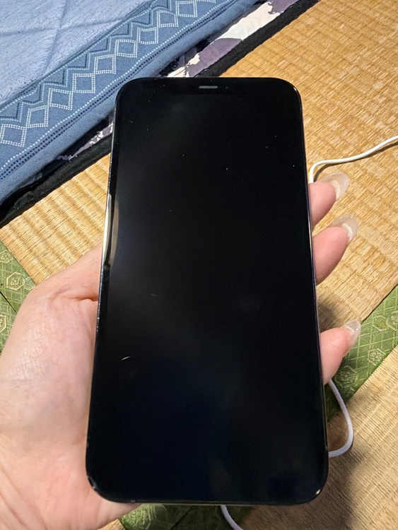 iPhone iPhone 12 Pro Max 256GB SIMフリー（スマホ）の商品画像 - 査定依頼日：2026年10月12日 - 最高査定価格：45,500円