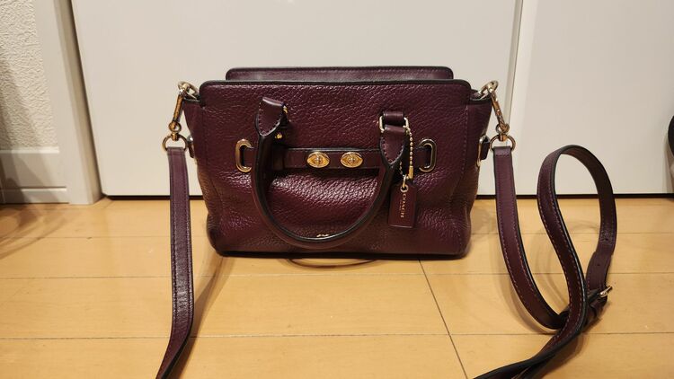 F37635（ブランドバッグ）の商品画像 - 査定依頼日：2025年9月21日 - 最高査定価格：2,500円