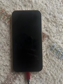 iPhone iPhone 13 Pro 256GB docomo（スマホ）の商品画像 - 査定依頼日：2026年5月27日 - 最高査定価格：31,000円