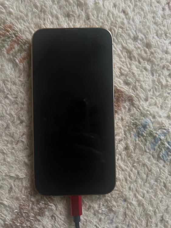 iPhone iPhone 13 Pro 256GB docomo（スマホ）の商品画像 - 査定依頼日：2026年5月27日 - 最高査定価格：31,000円