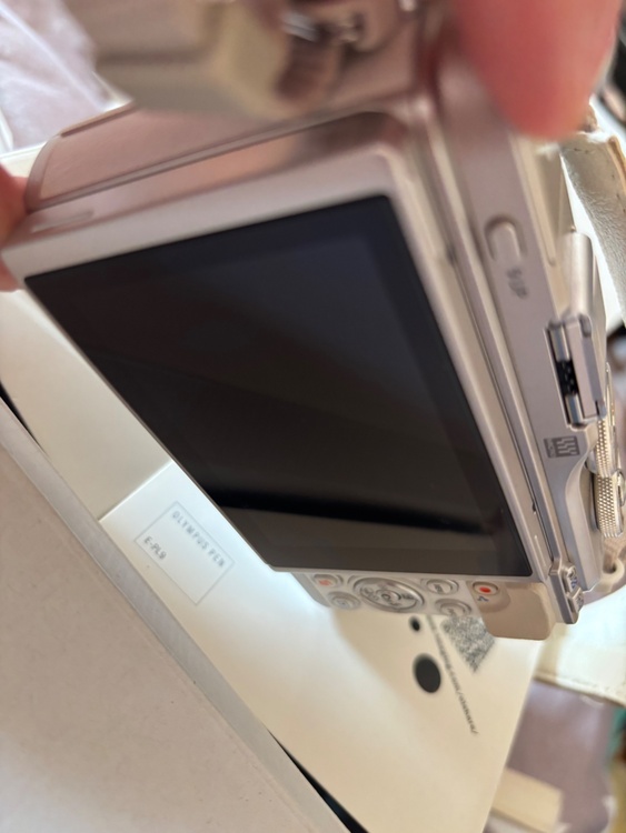 オリンパスPEN E-PL9（カメラ）の商品画像 - 査定依頼日：2026年1月18日 - 最高査定価格：35,000円